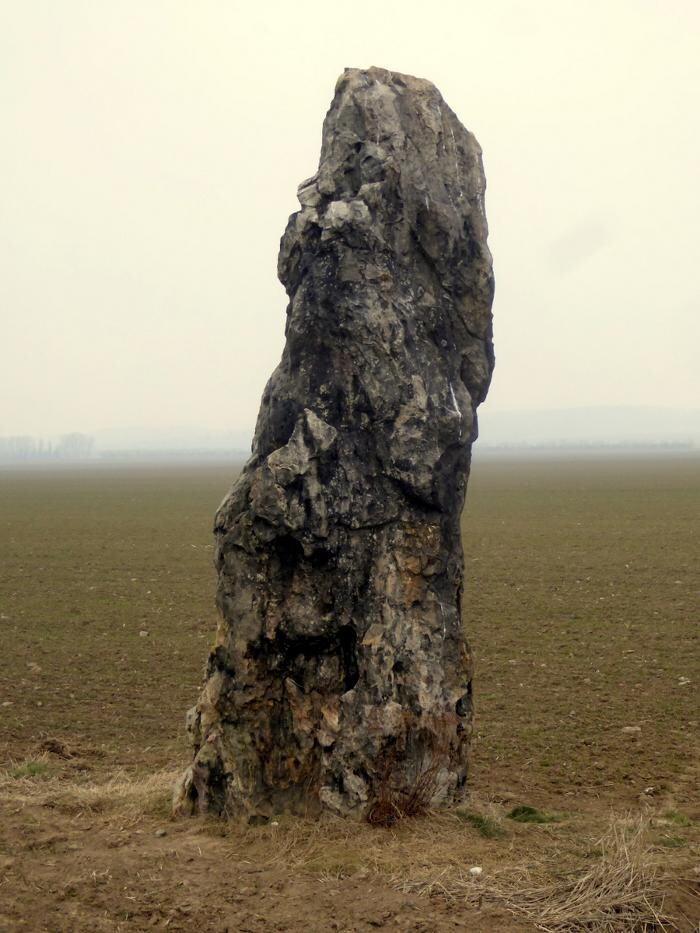 Bilder Klaus Podlasly