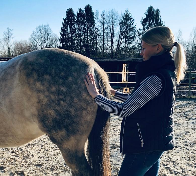 Bilder Laura Everding - Osteopathie und Physiotherapie für Pferd & Hund