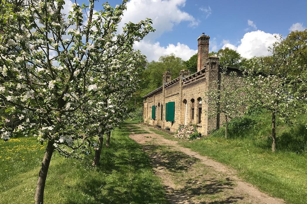 Bilder Königlicher Weinberg