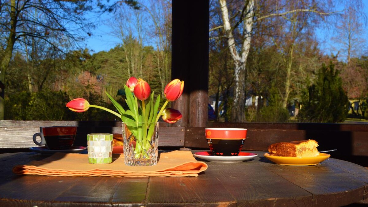 Bilder Mickys Parkidylle im Kleinen Spreewald Wahrenbrück