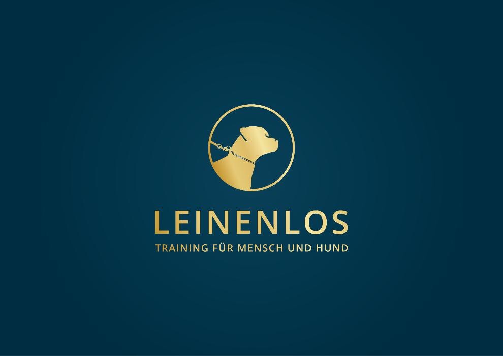 Bilder Hundetraining Leinenlos- Vanessa Rufle