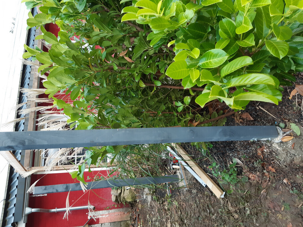 Bilder Hausmeisterdienst-Salzmann