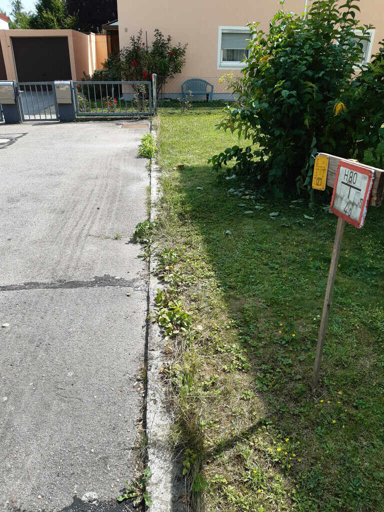 Bilder Hausmeisterdienst-Salzmann