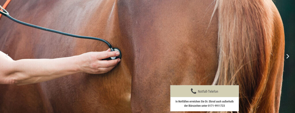 Bilder Dr. Bernhard Ekrod Tierarzt