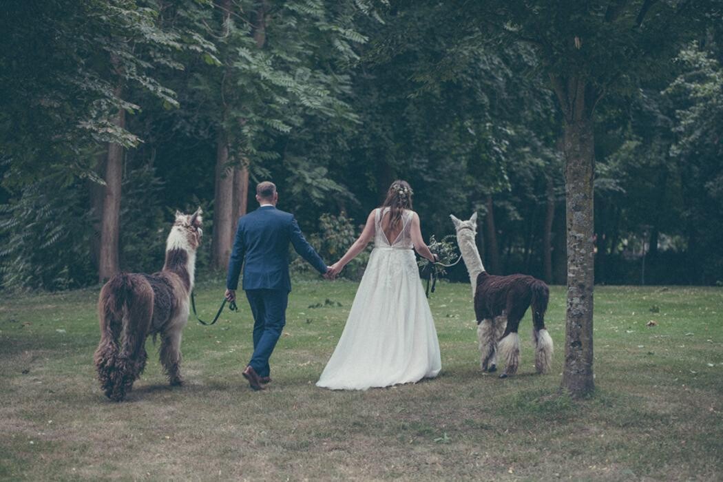 Bilder DER HOCHZEITSSPECHT - Hochzeitsfotograf Hanau