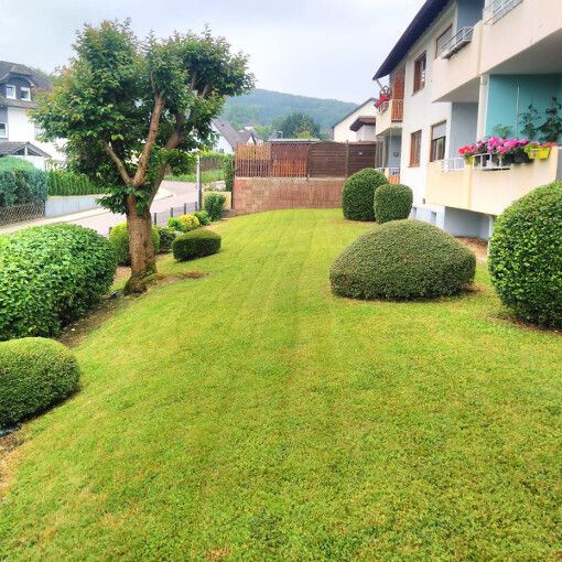 Bilder Rund um Haus & Garten