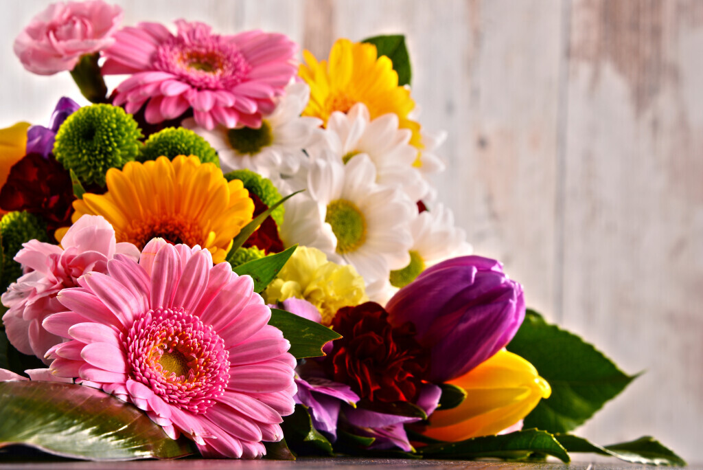 Bilder Jörg Silzle Schnittblumen