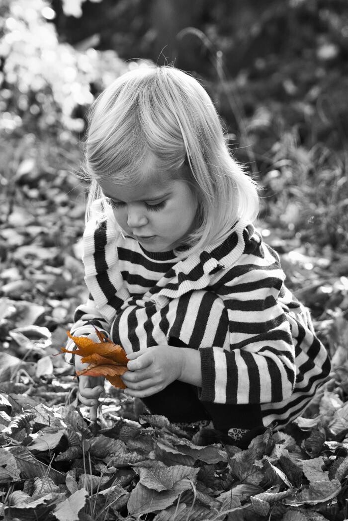 Bilder TomS-PhotoMoments