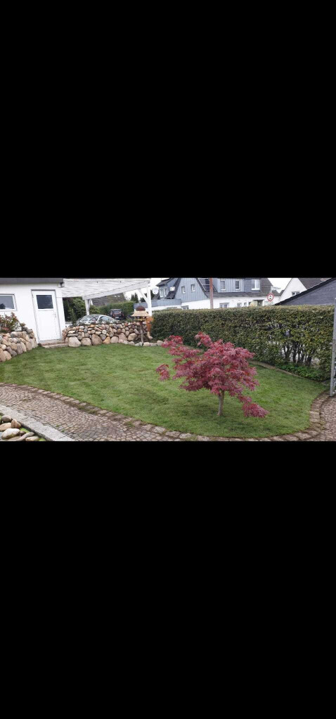 Bilder JM Experten
