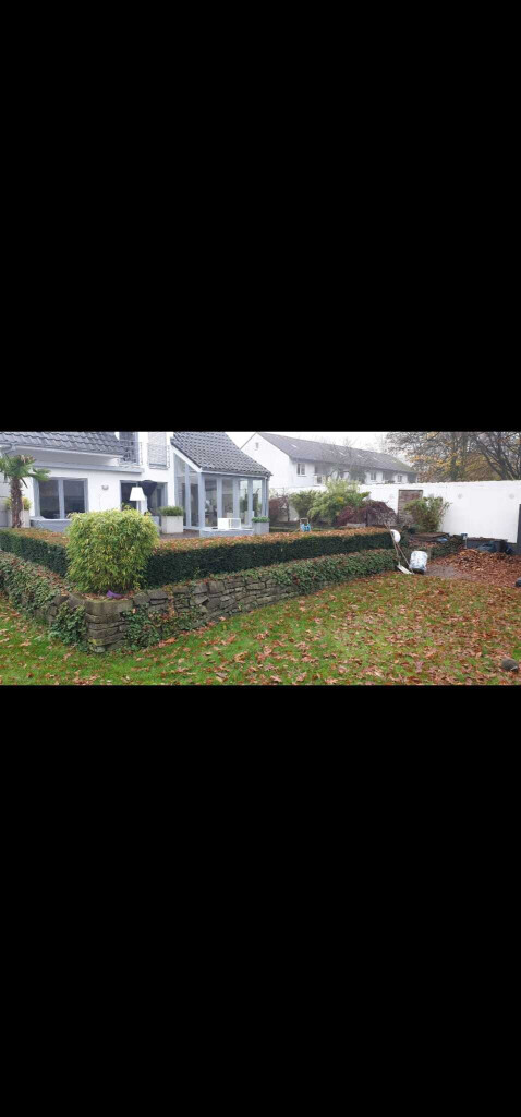 Bilder JM Experten