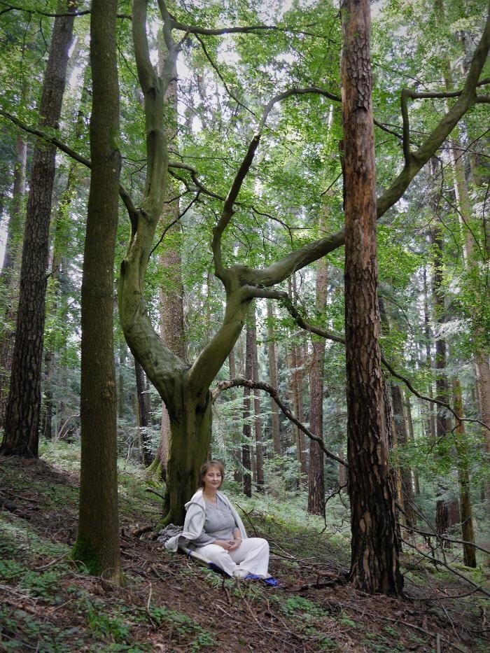 Bilder Taiji-Qigong mit Regine