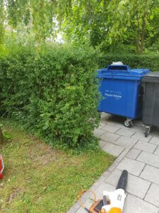 Bilder Die Hausmeister