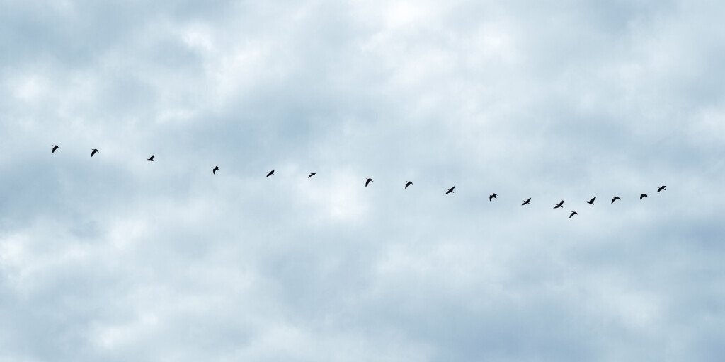 Bilder Bestattungen Berger