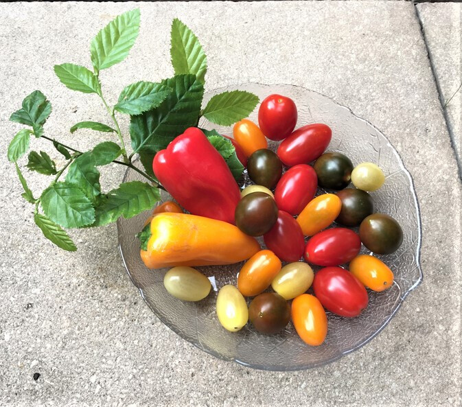 Bilder MediaContact e.K.