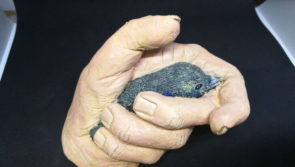 Bilder Keramikstudio-Krämer & Stickerei