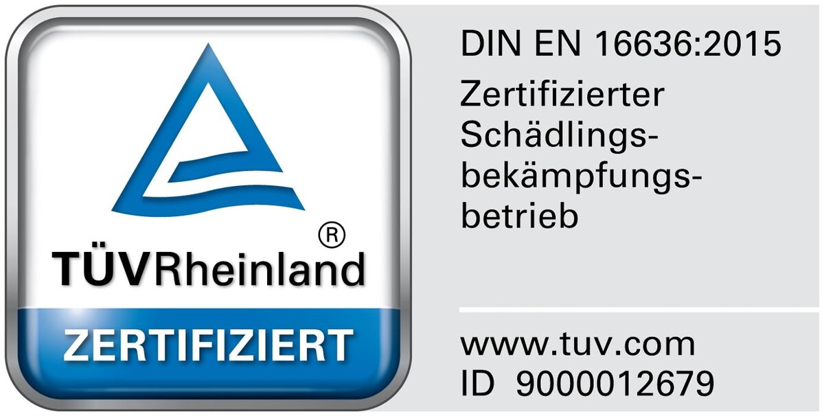 Bilder Quitty Schädlingsfrei GmbH