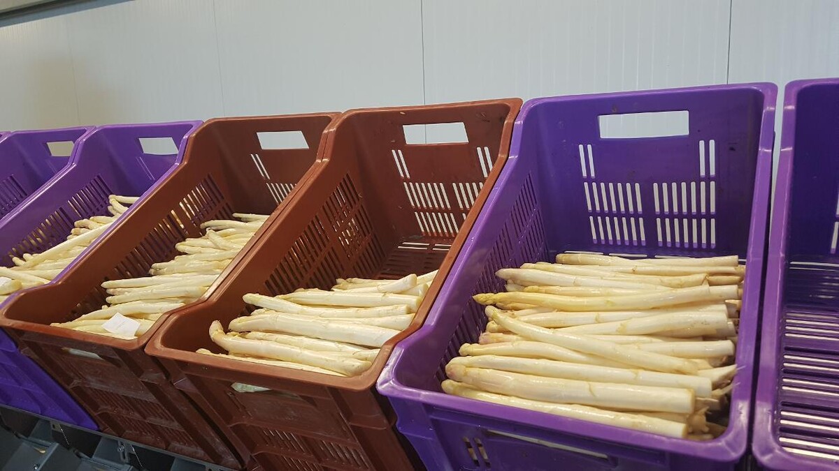 Bilder Beeren & Spargel v. Mentzingen