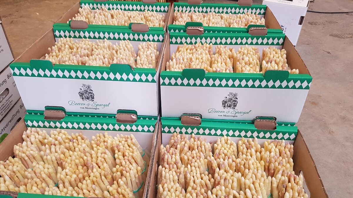 Bilder Beeren & Spargel v. Mentzingen