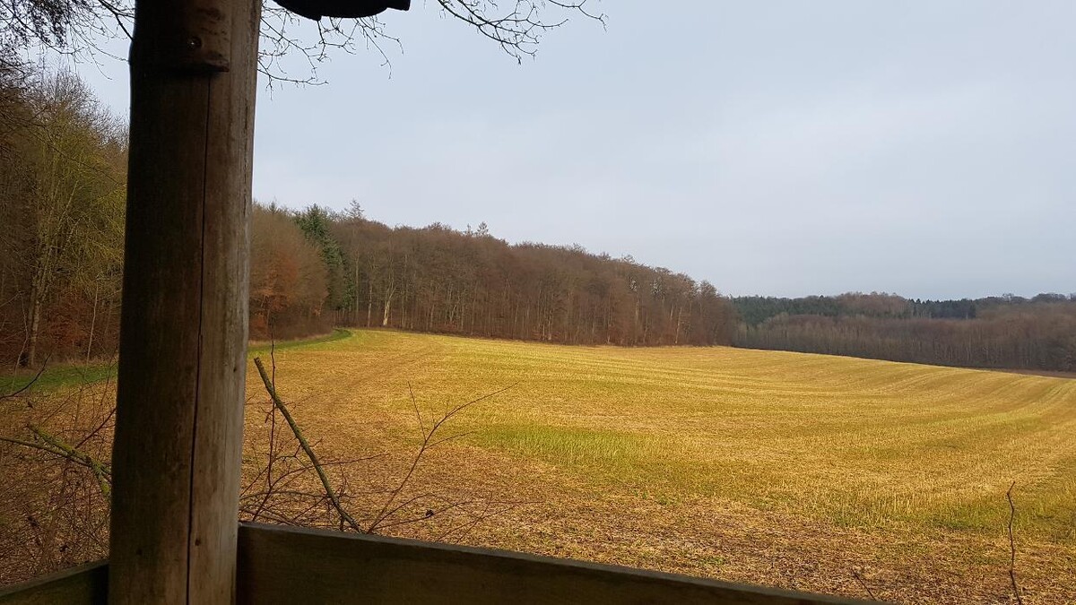 Bilder Beeren & Spargel v. Mentzingen