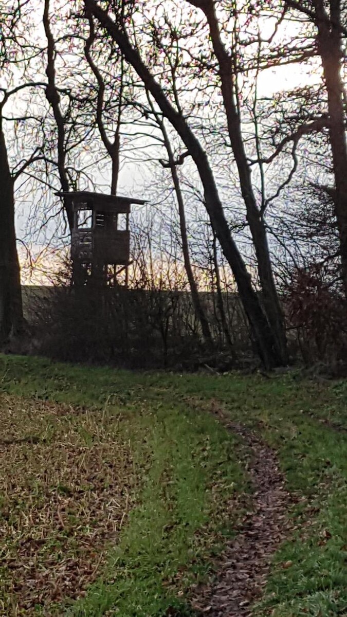 Bilder Beeren & Spargel v. Mentzingen