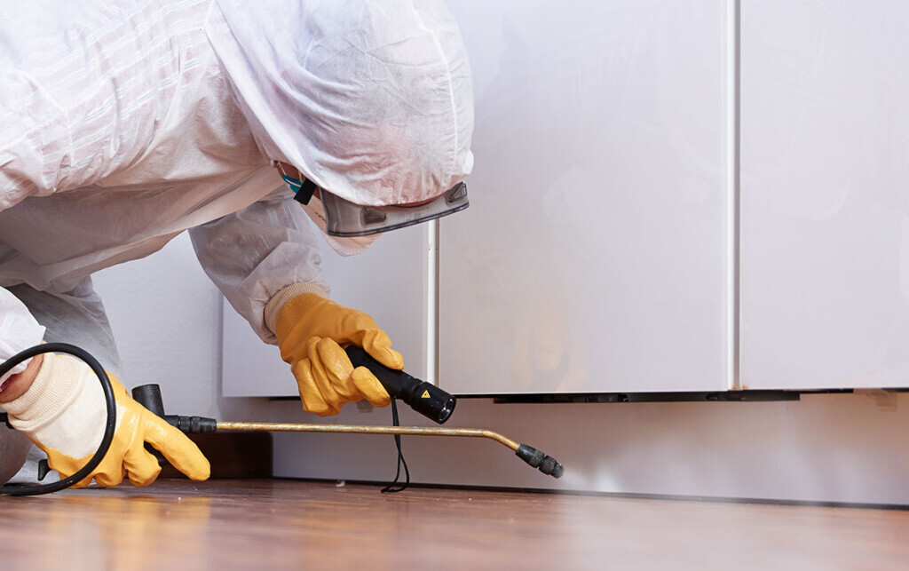 Bilder Multiservice Gebäude- und Schadensservice GmbH