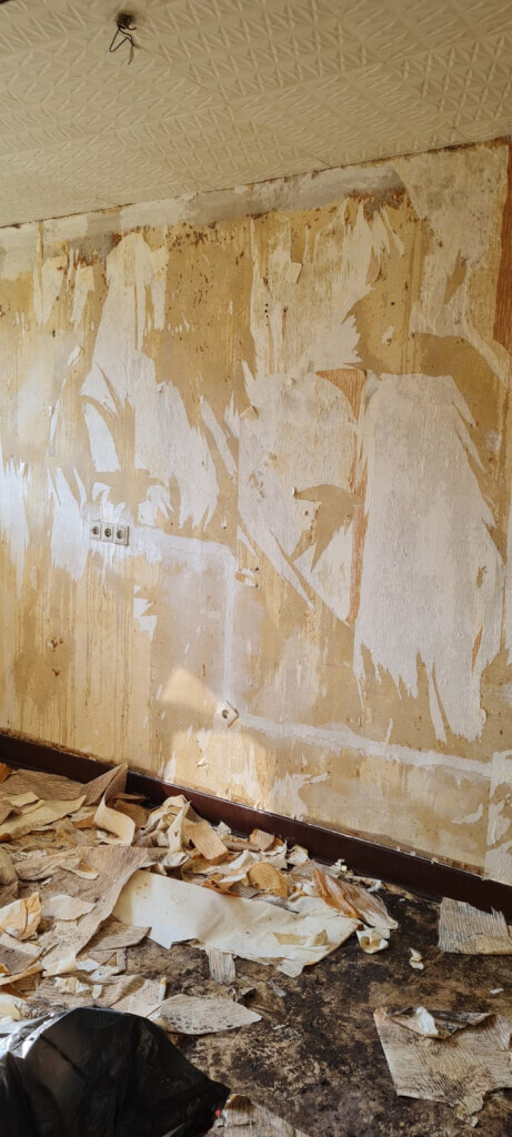 Bilder Pfennig Umzüge & Entrümpelungen