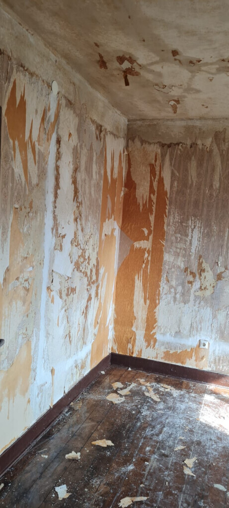 Bilder Pfennig Umzüge & Entrümpelungen