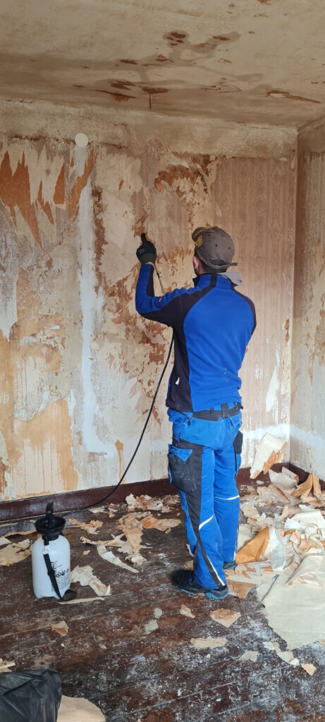 Bilder Pfennig Umzüge & Entrümpelungen