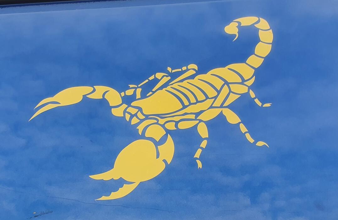 Der HANSEN Logo