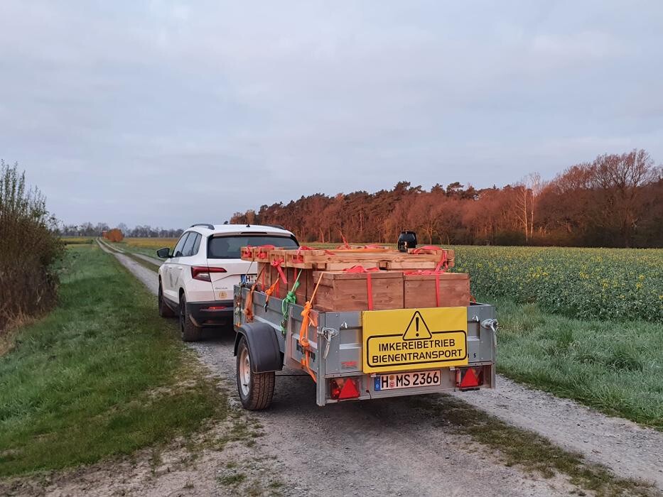 Bilder Erlebniswelt Familienimkerei Müller-Meißner das Honigtransportgeschwader 62