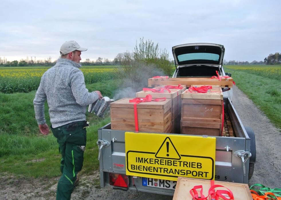 Bilder Erlebniswelt Familienimkerei Müller-Meißner das Honigtransportgeschwader 62
