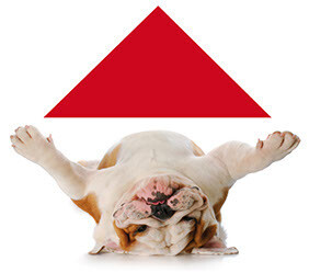 Bilder Meyer zu Hücker Die Dachmarke.