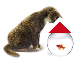 Bilder Meyer zu Hücker Die Dachmarke.