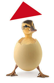 Bilder Meyer zu Hücker Die Dachmarke.