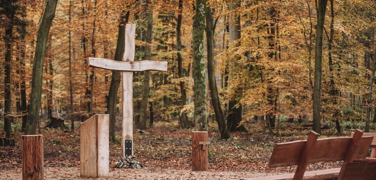 Bilder FriedWald Goch-Tannenbusch