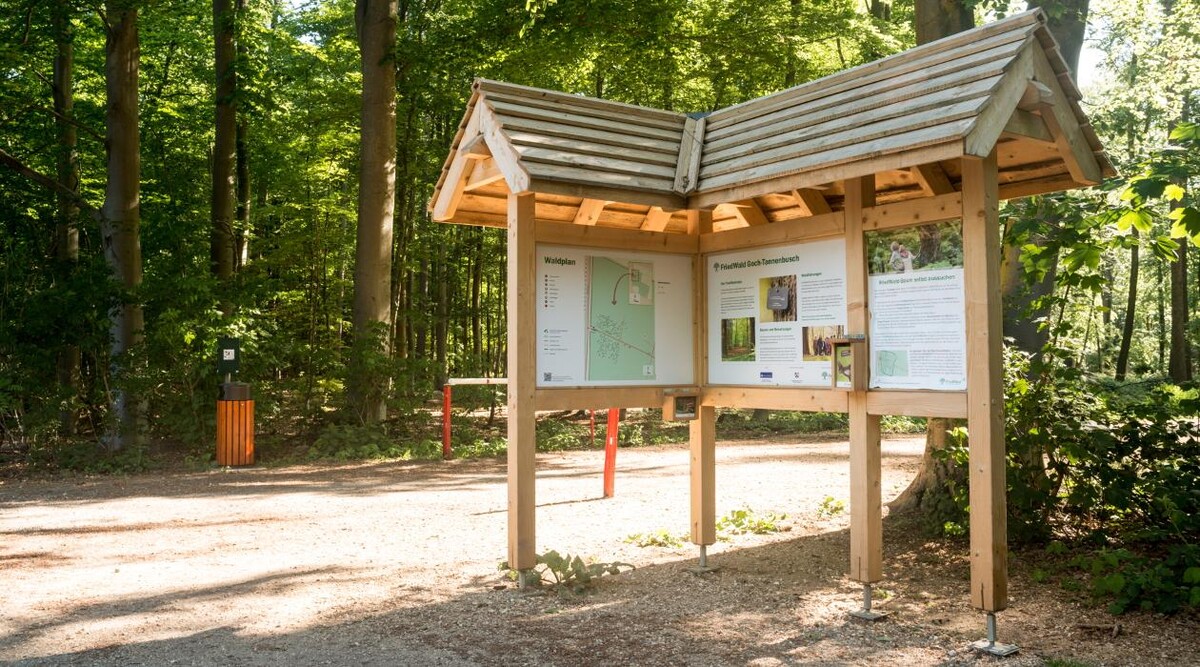 Bilder FriedWald Goch-Tannenbusch