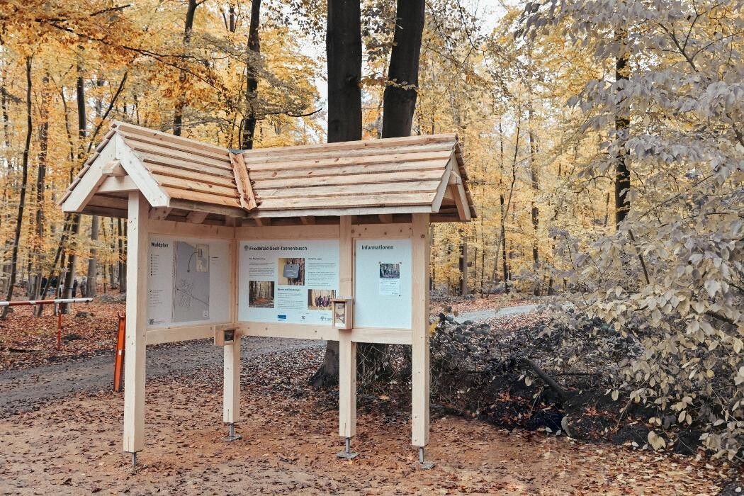 Bilder FriedWald Goch-Tannenbusch