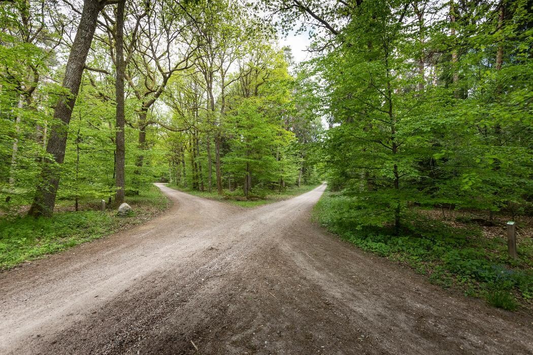 Bilder FriedWald Lüneburger Heide