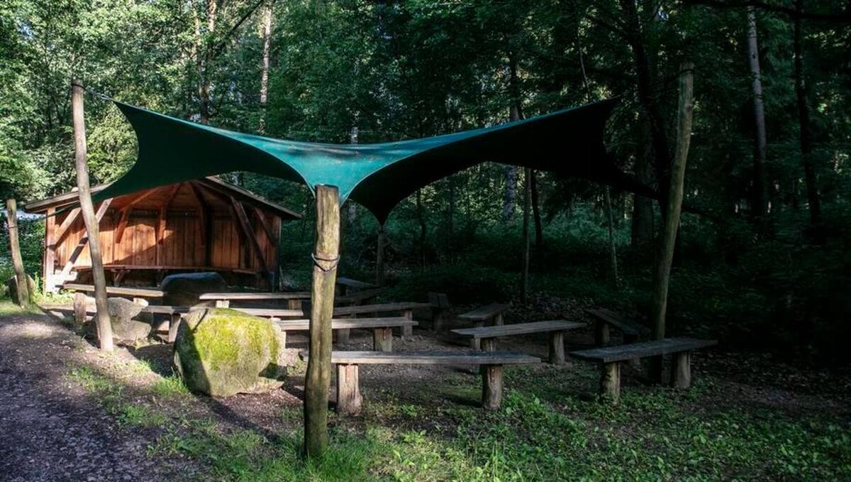 Bilder FriedWald Lüneburger Heide