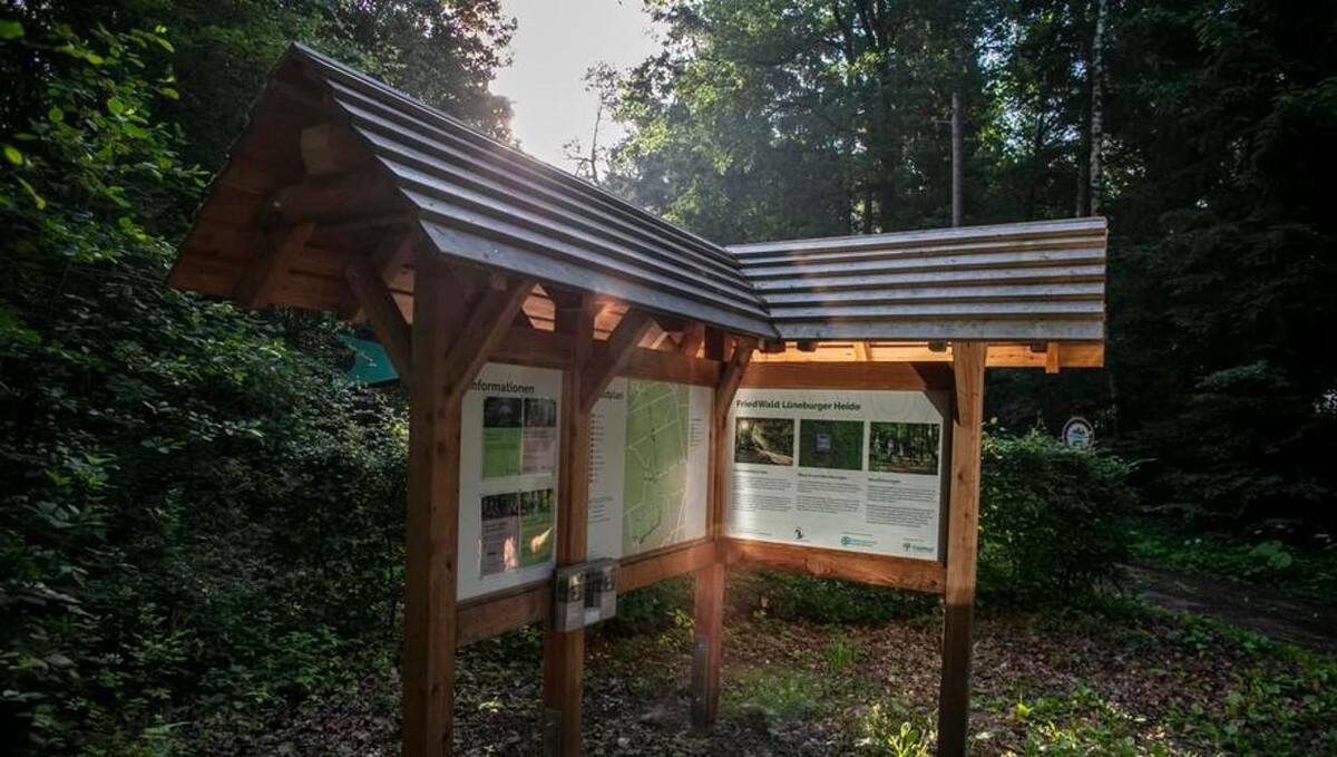 Bilder FriedWald Lüneburger Heide