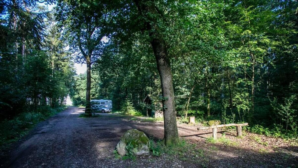 Bilder FriedWald Lüneburger Heide