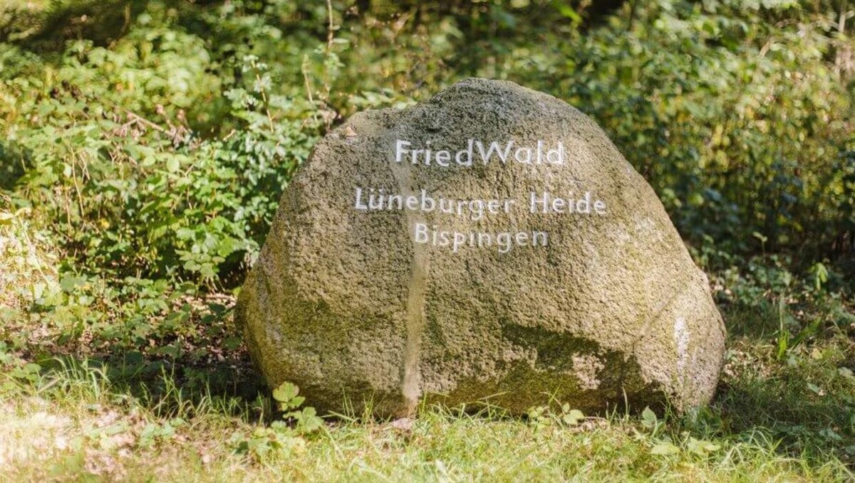 Bilder FriedWald Lüneburger Heide