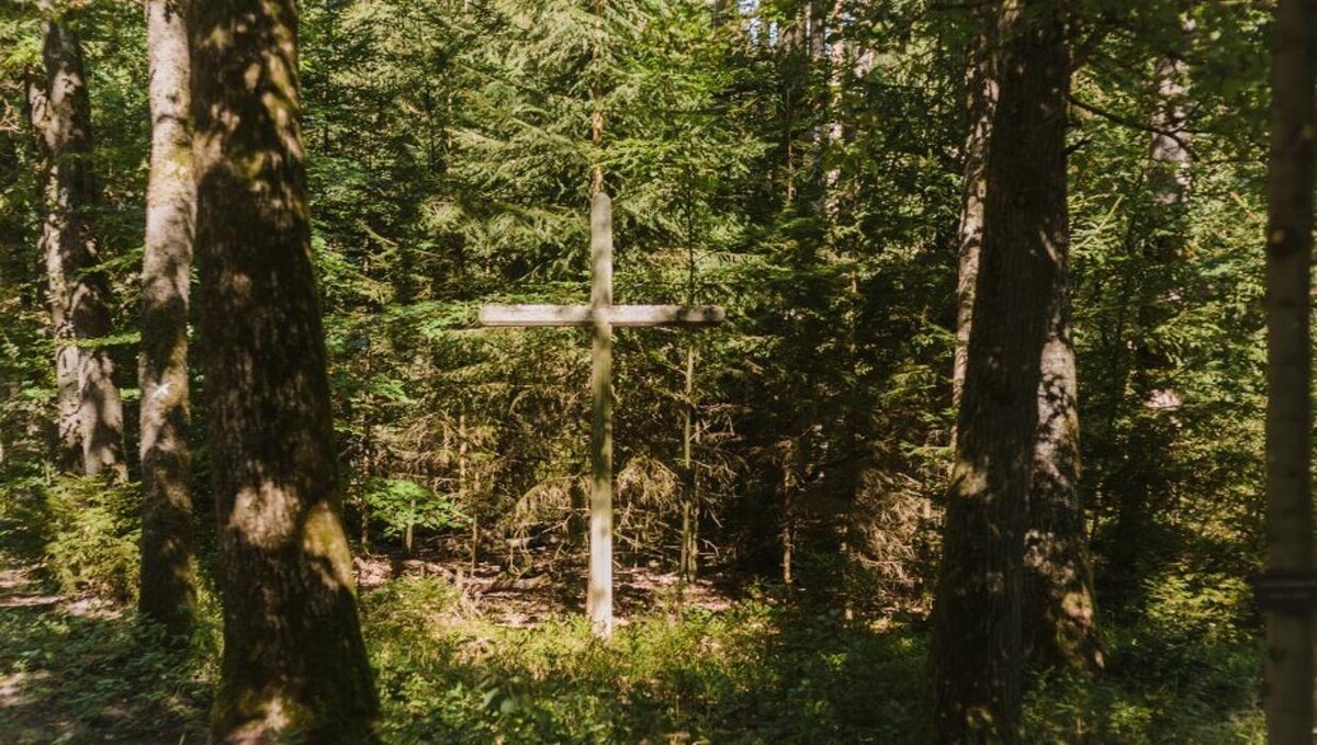 Bilder FriedWald Lüneburger Heide