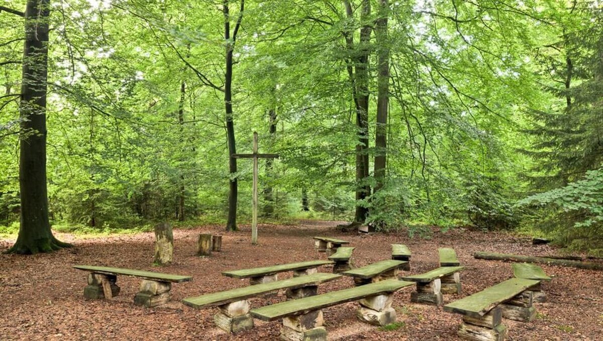 Bilder FriedWald Bremer Schweiz