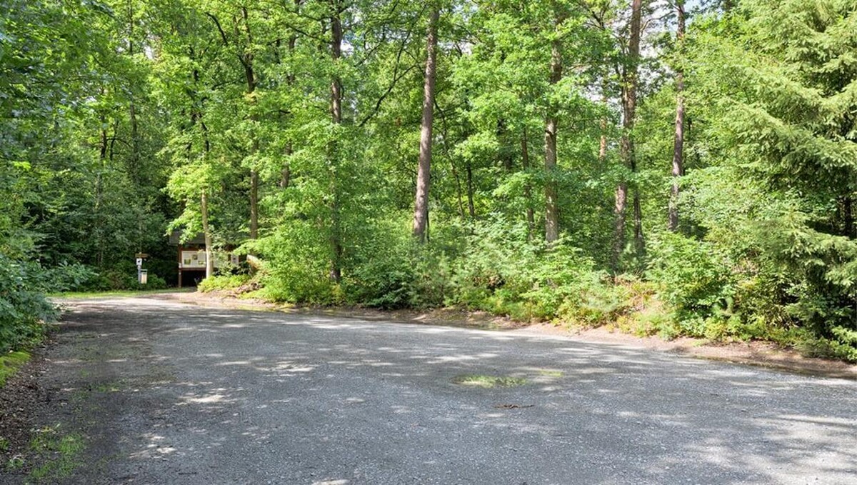 Bilder FriedWald Bremer Schweiz