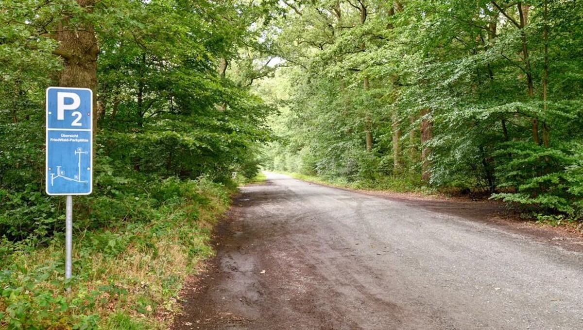 Bilder FriedWald Bremer Schweiz