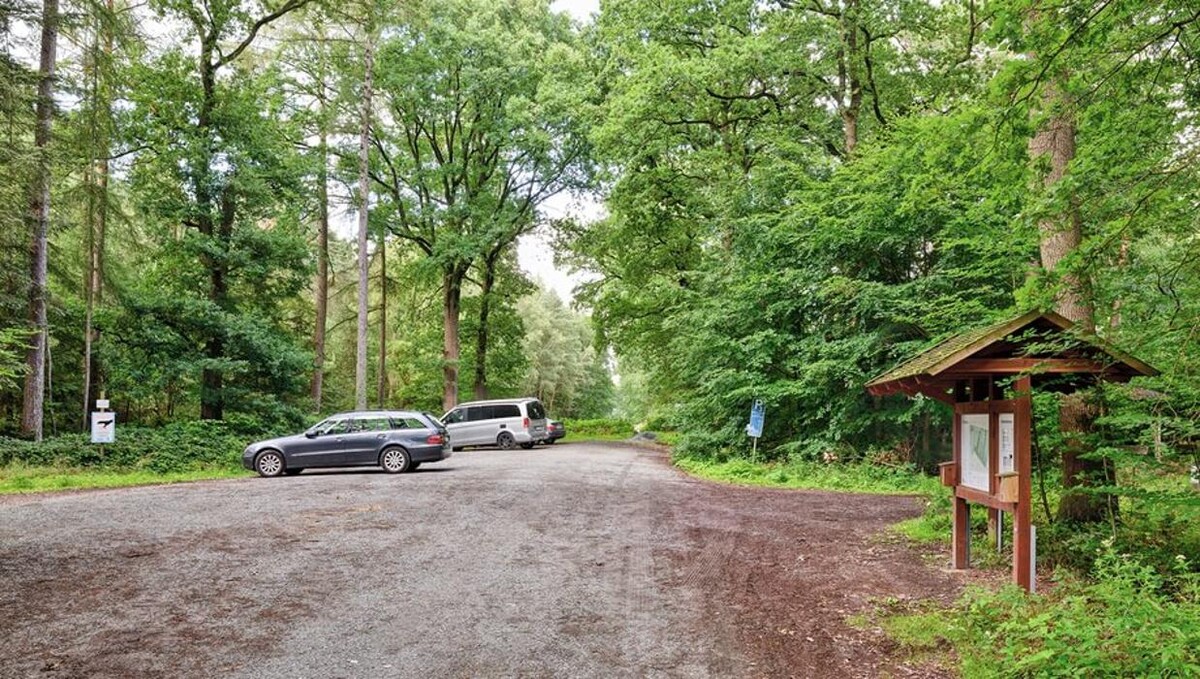 Bilder FriedWald Bremer Schweiz