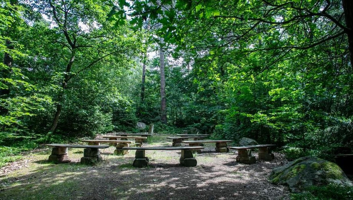 Bilder FriedWald Bremer Schweiz