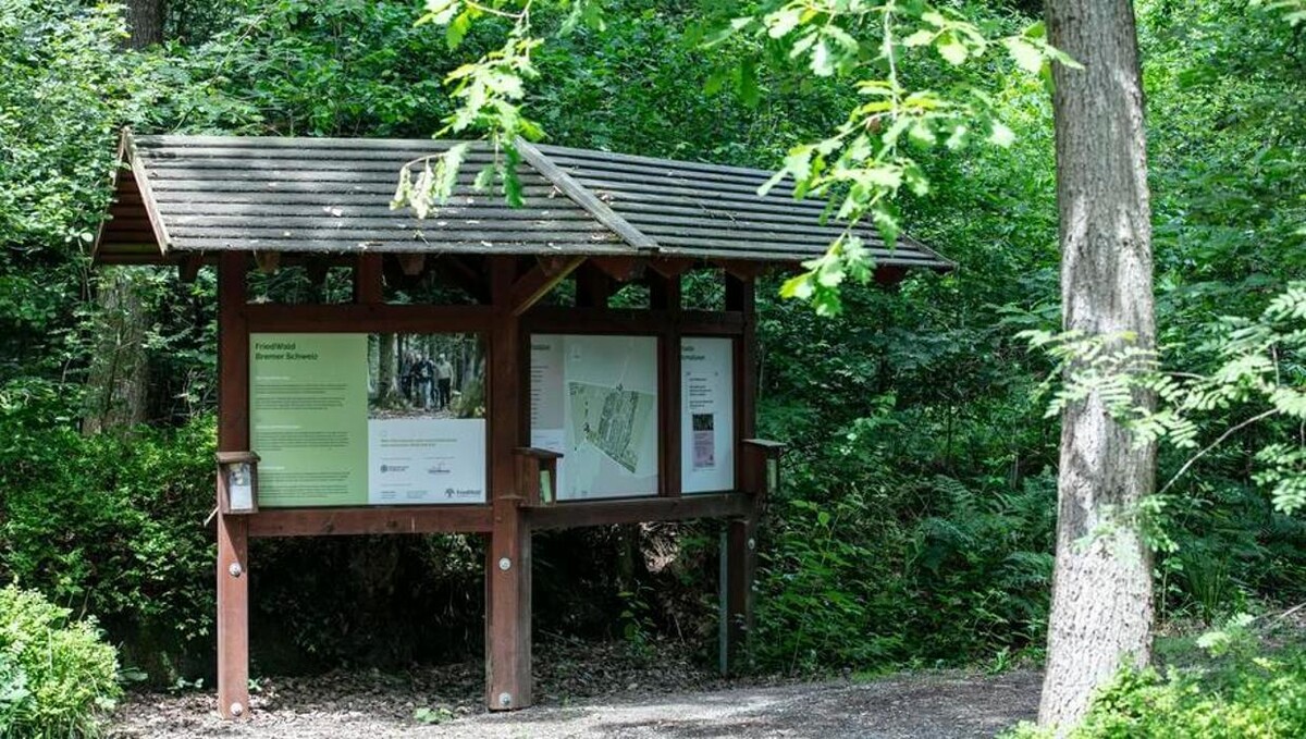 Bilder FriedWald Bremer Schweiz