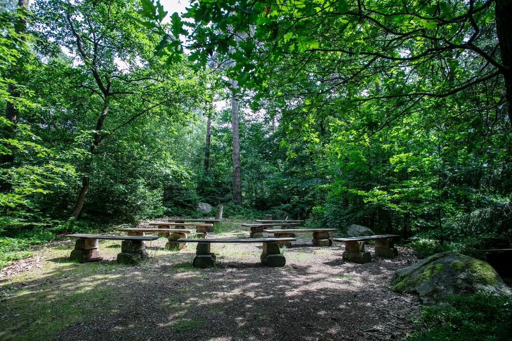 Bilder FriedWald Bremer Schweiz